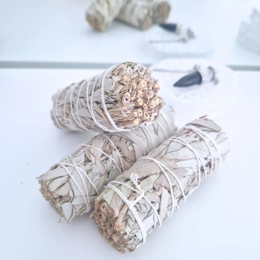 3 bâtons de sauge salvia officinal
