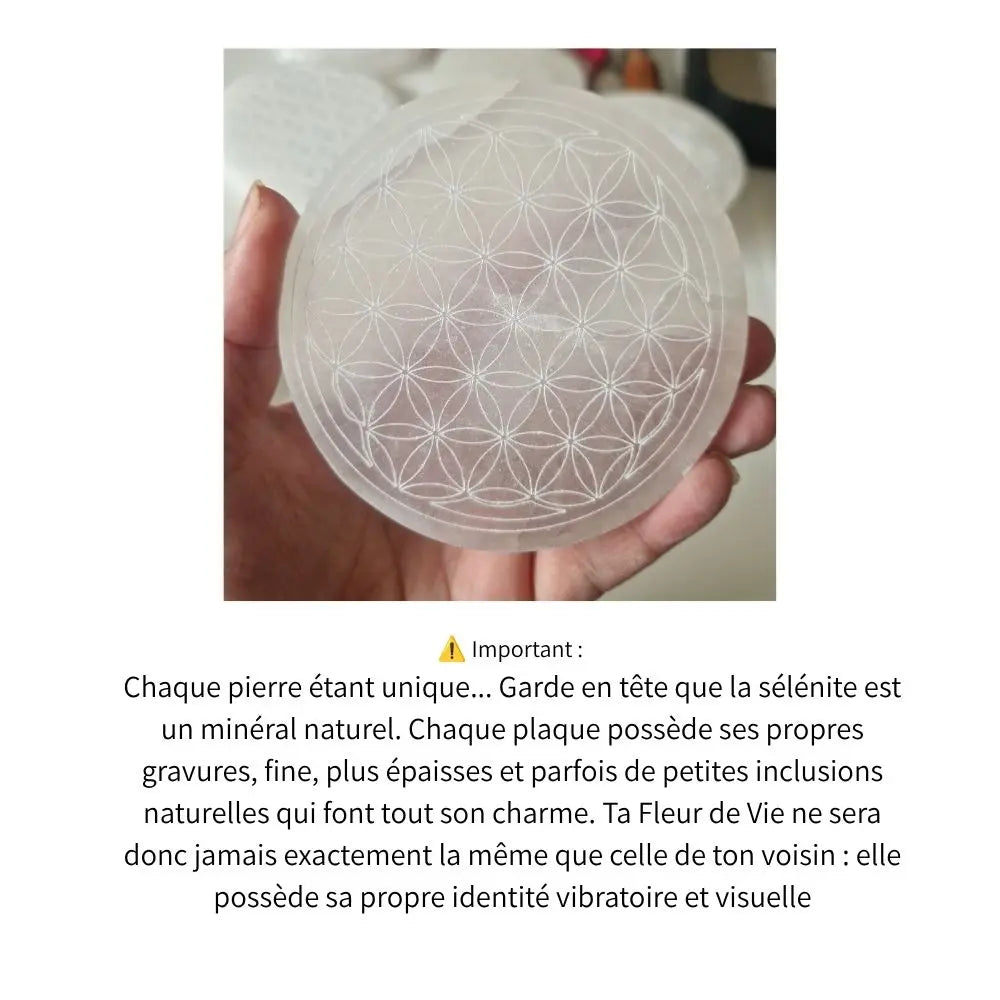 Fleur de vie selenite