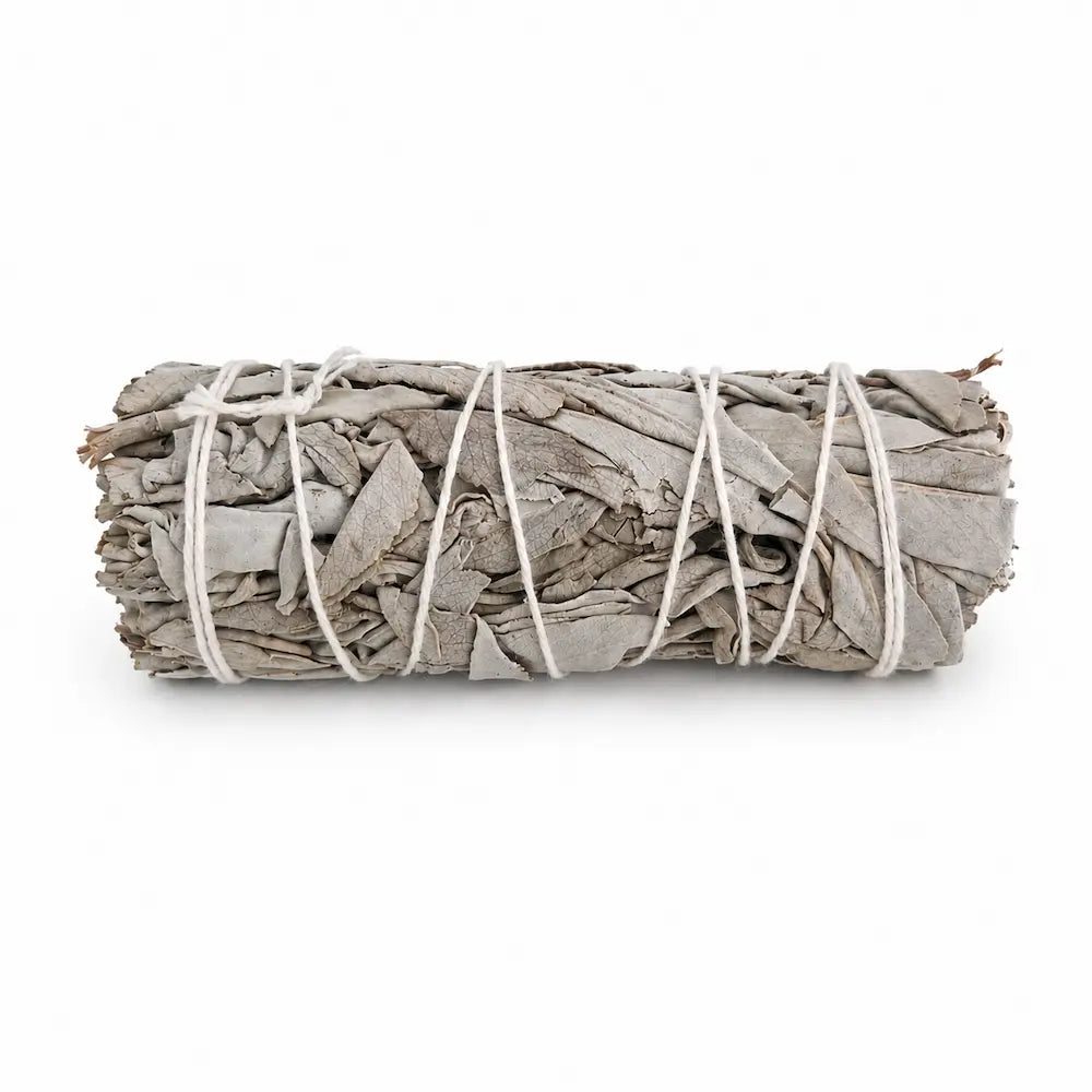 Sauge blanche en baton de 10cm