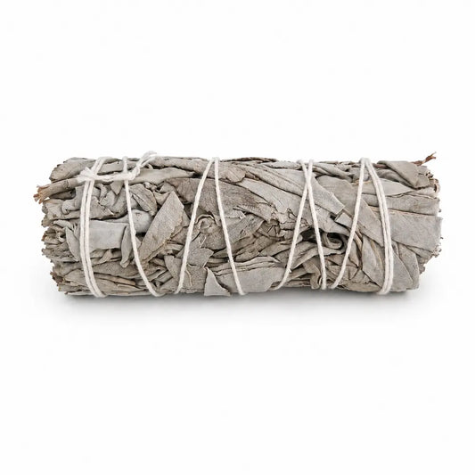 Sauge blanche en baton de 10cm