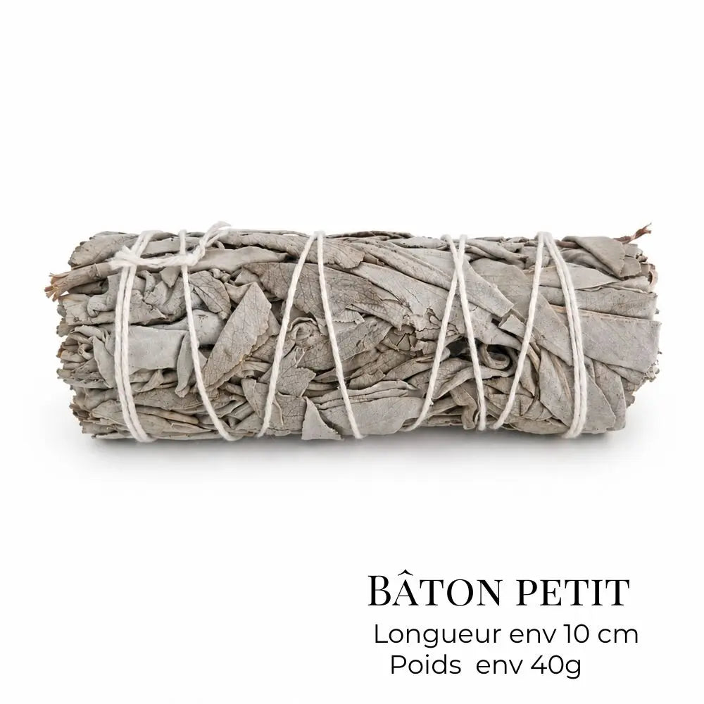 sauge blanche baton de 10 com 40g